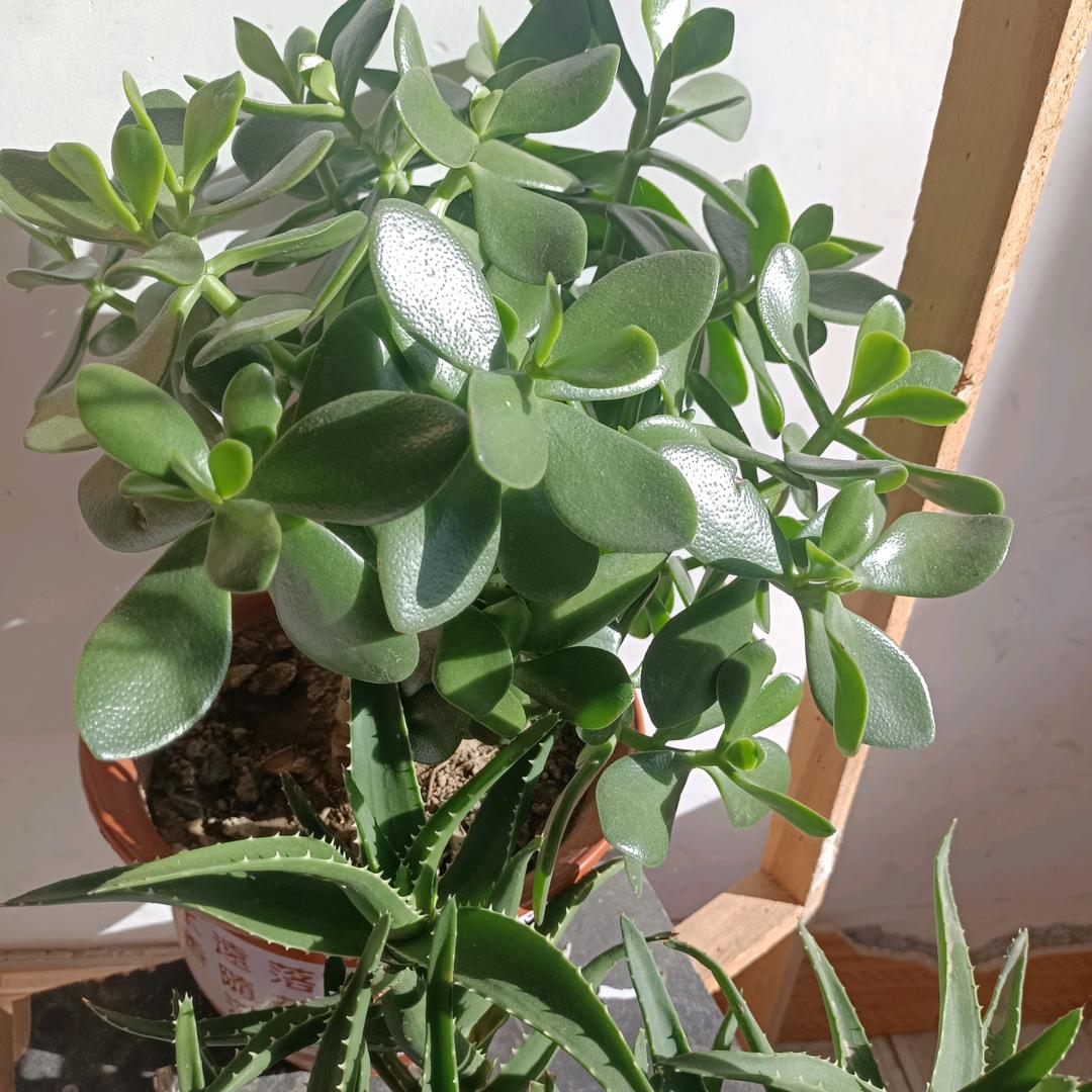 慧行千里
