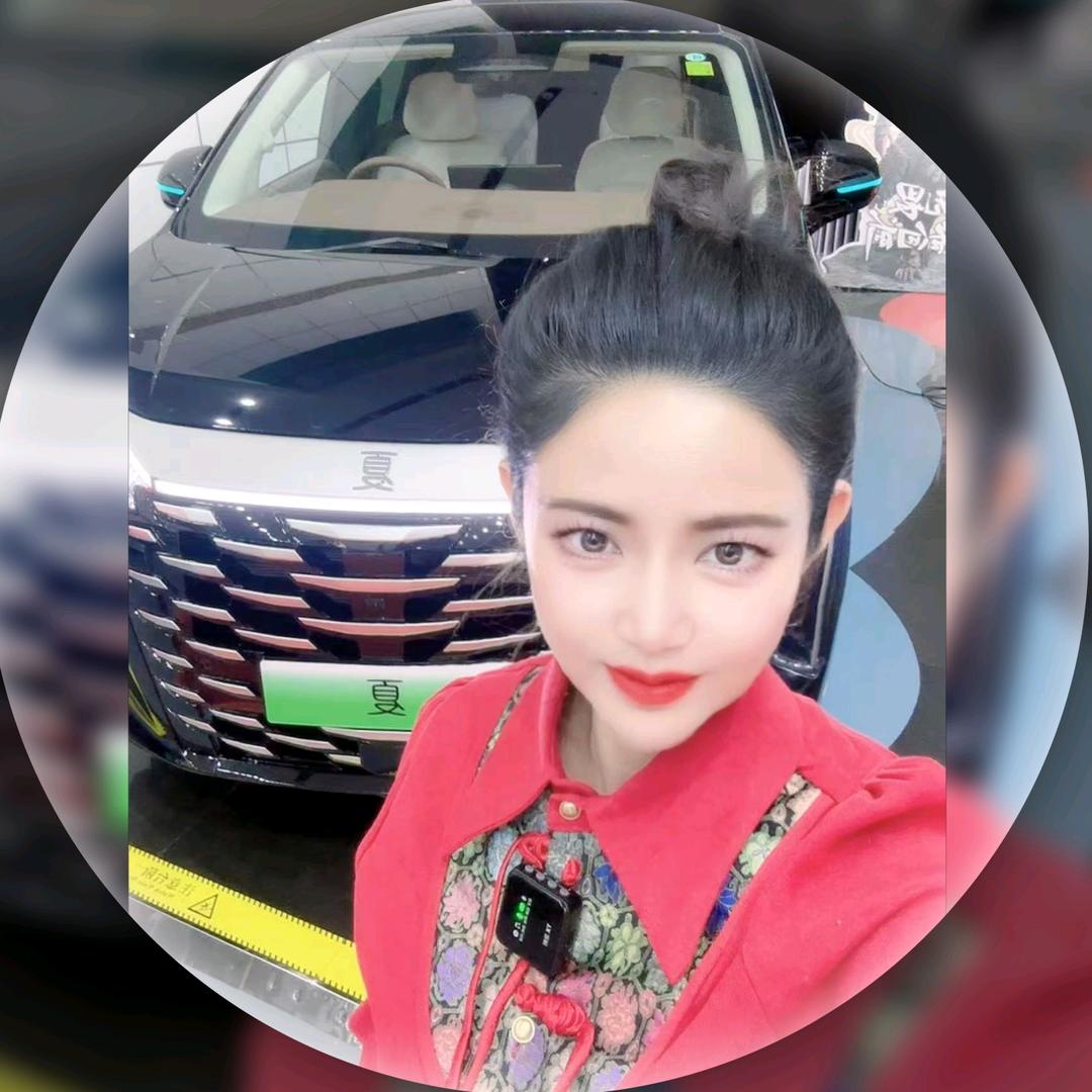 比亚迪在辽宁大漂亮
