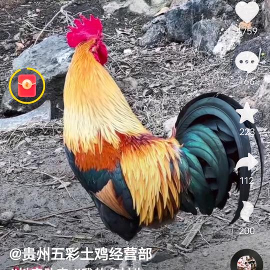 独一无二的你没商量