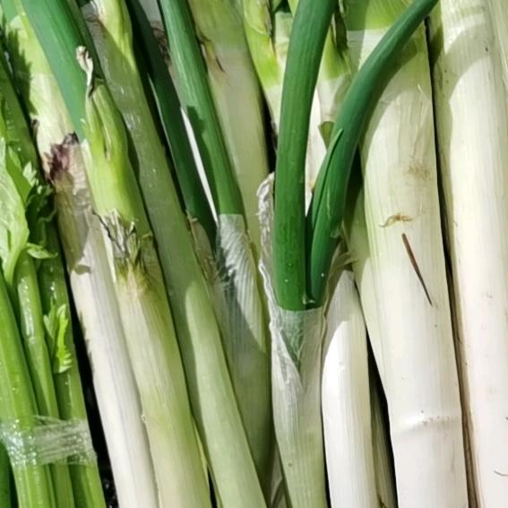 梦动广州骏推广号