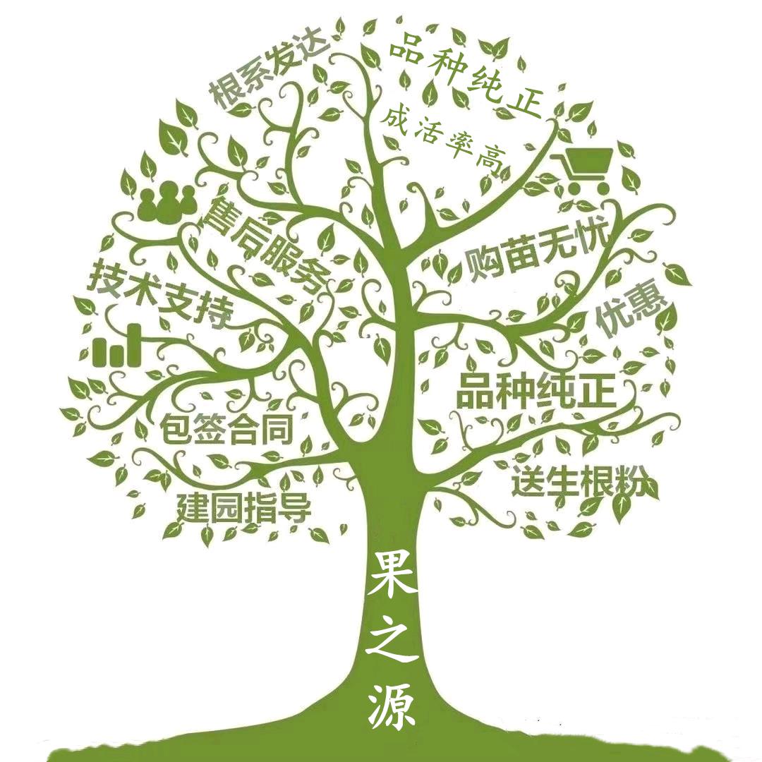 果之源苗木基地