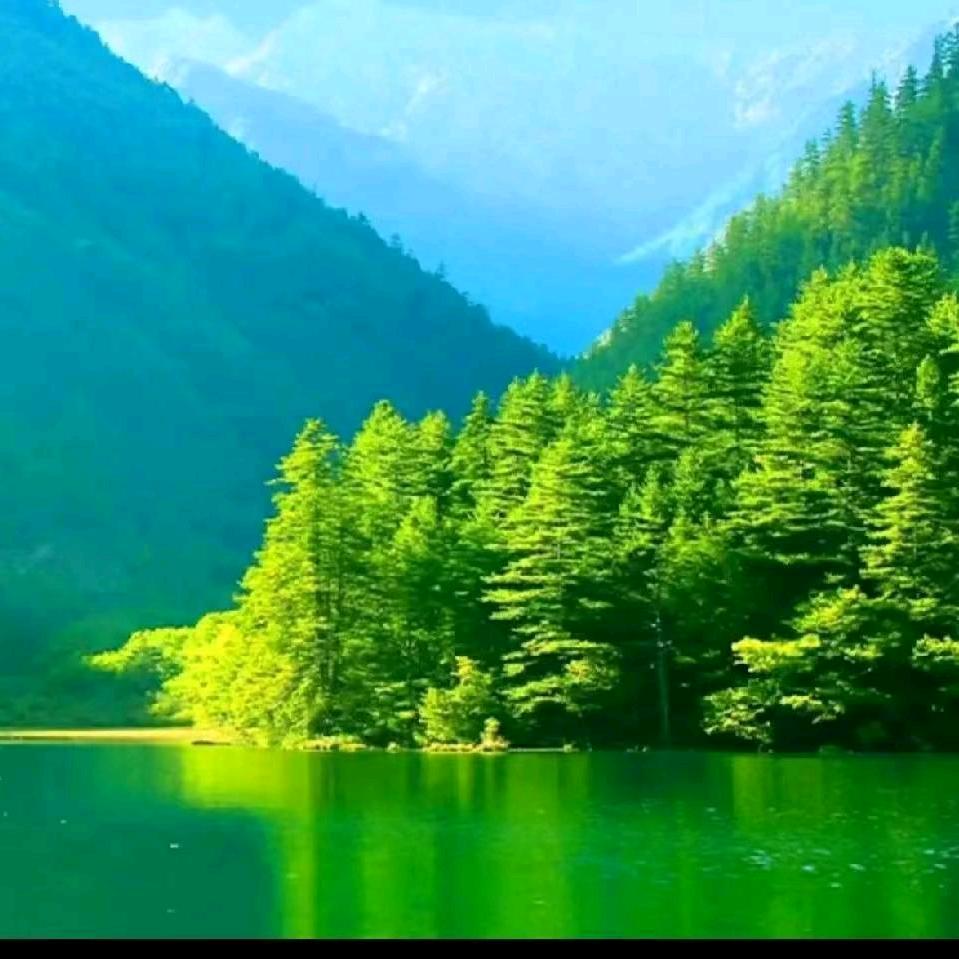 每好生活