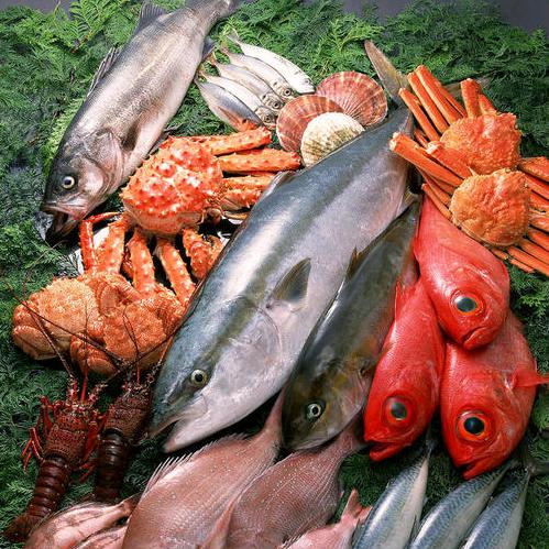 北海密探哥海鲜（每天六点开播）