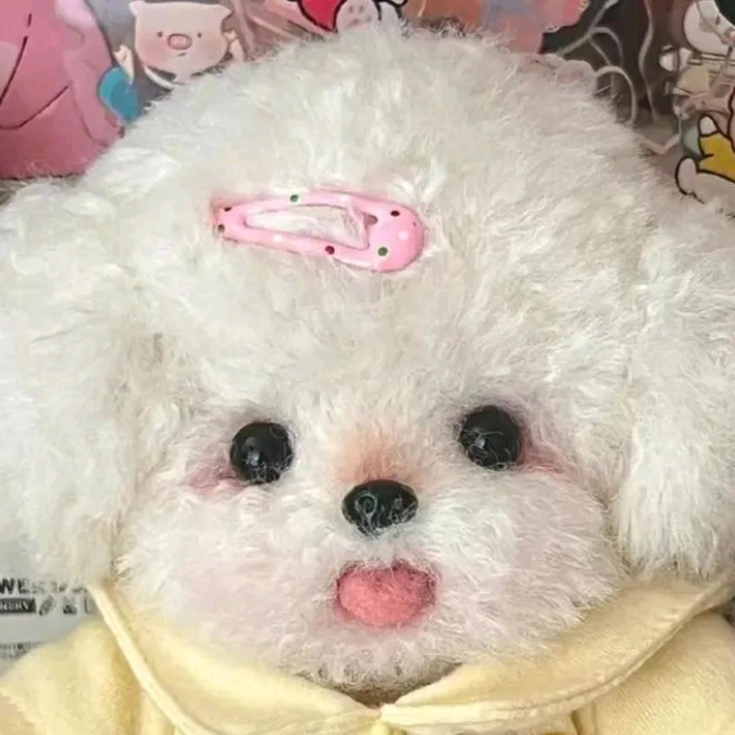 南楠