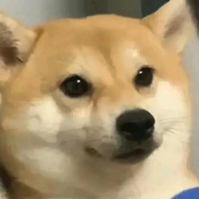 造梦