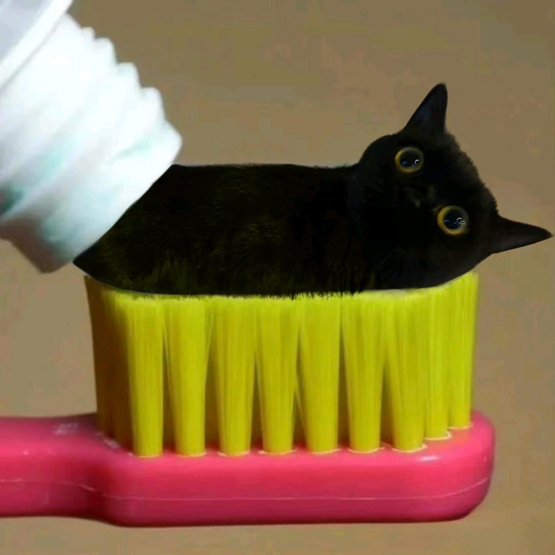 小左