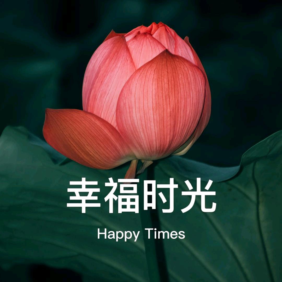 流浪姐