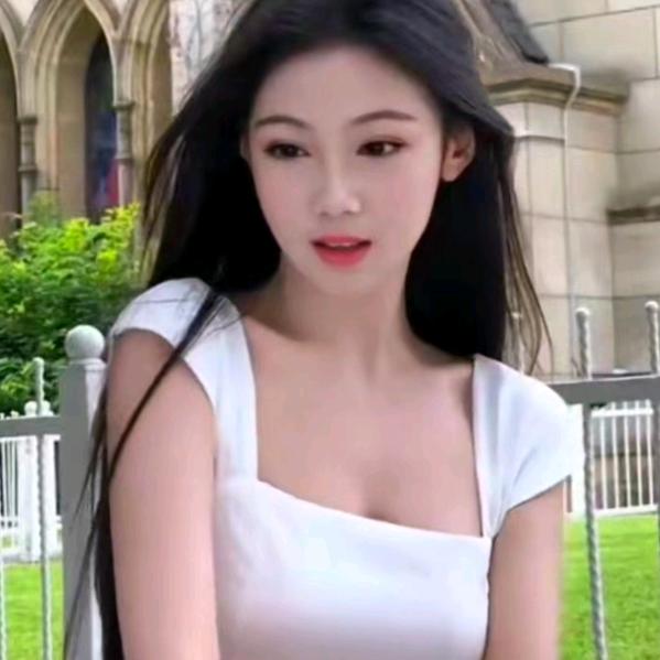 白玫瑰