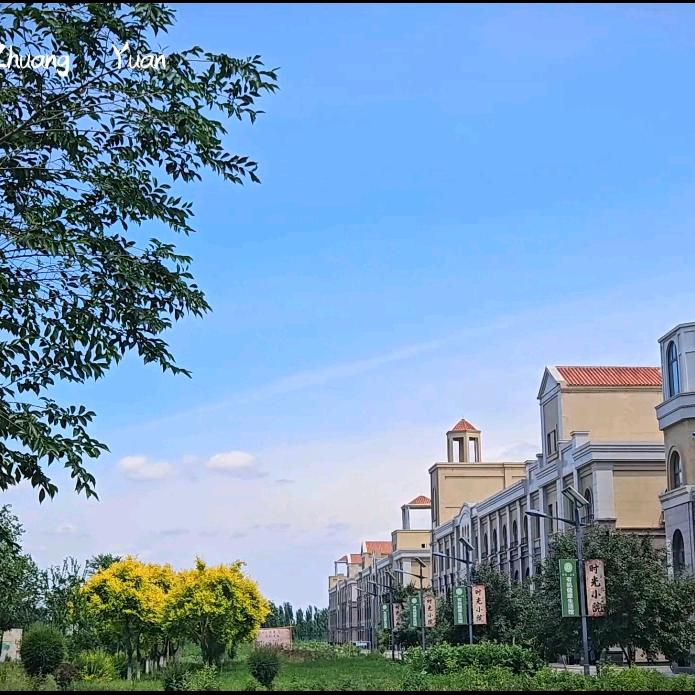 🌷雍大·兰花庄园