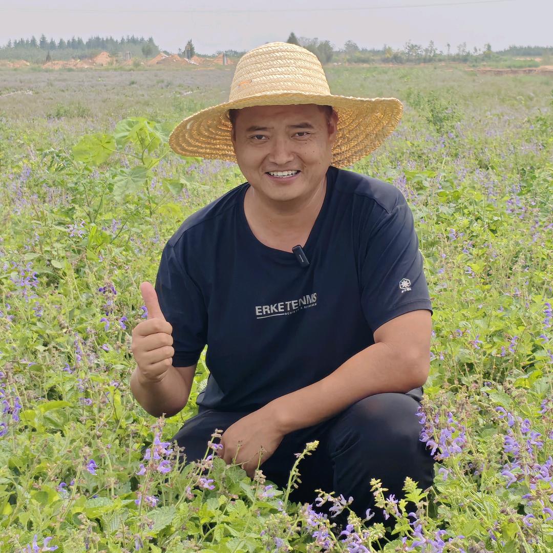 边疆聊药材