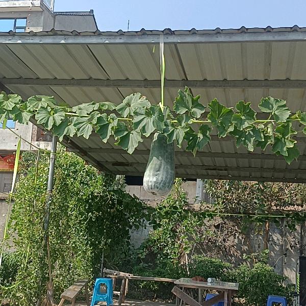 轮胎搬运站 直营