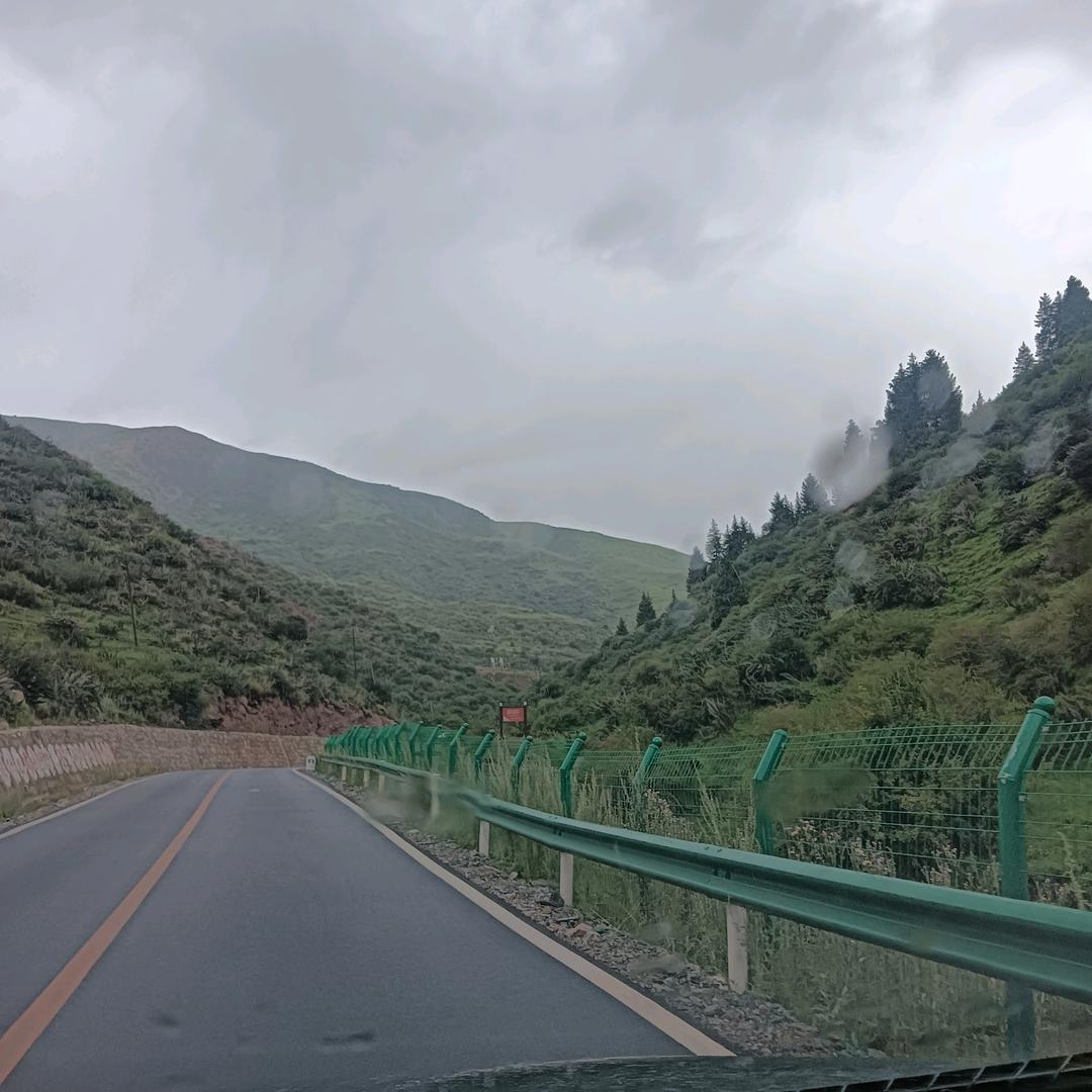 陈哥