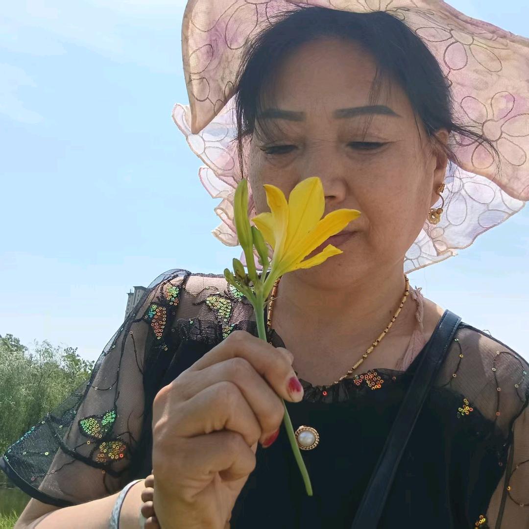 出水芙蓉、（努力中）