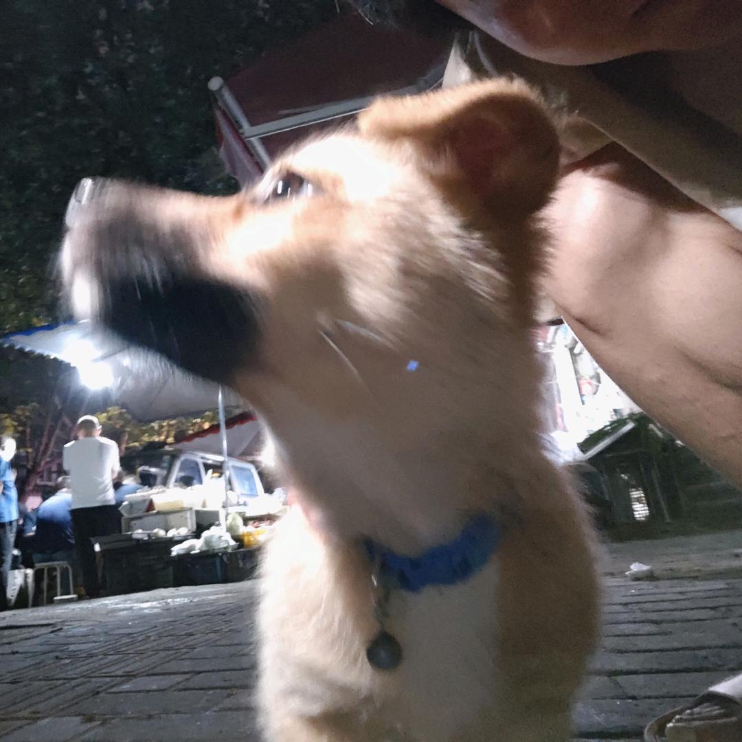 🌈不想不想珞