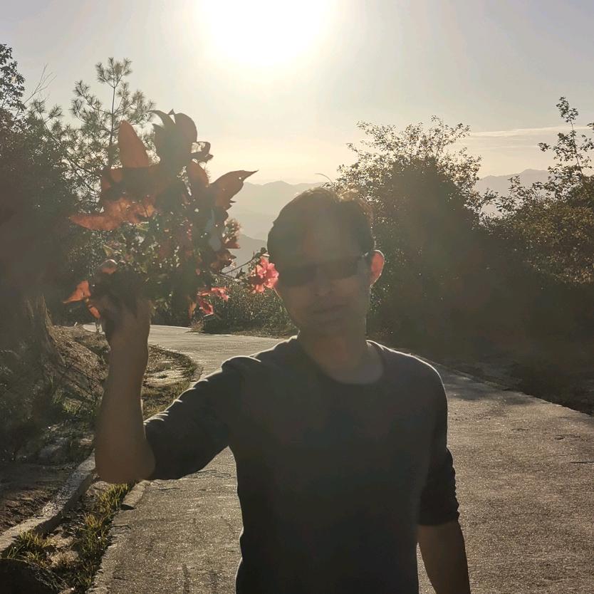 书剑煮酒