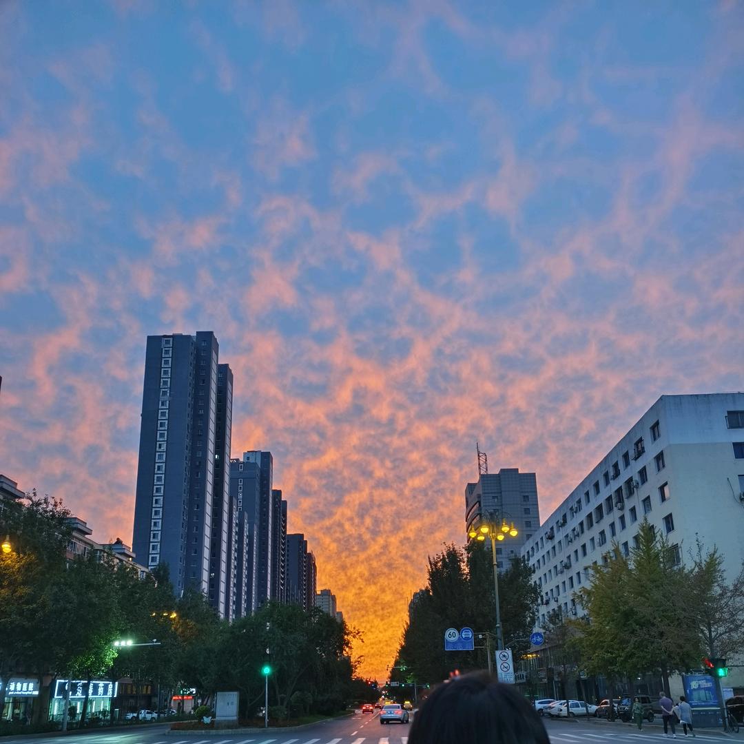 馨艺佰日常好货