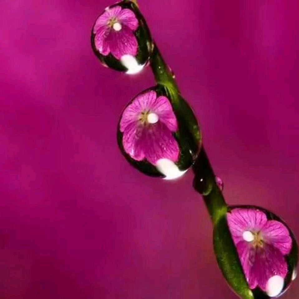 平安是福🌺有赞必回❤