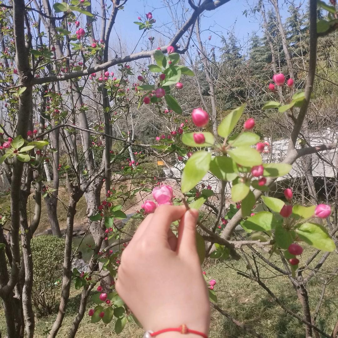 安初墨（我的古风名）