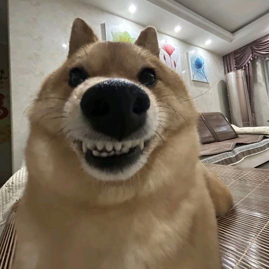 笑出腹肌