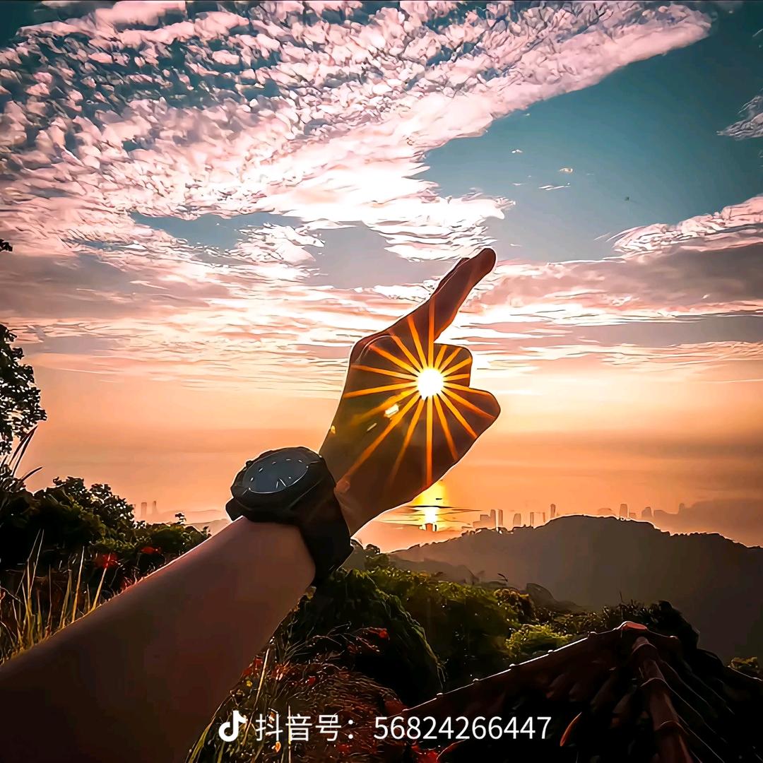 乘风破浪2023
