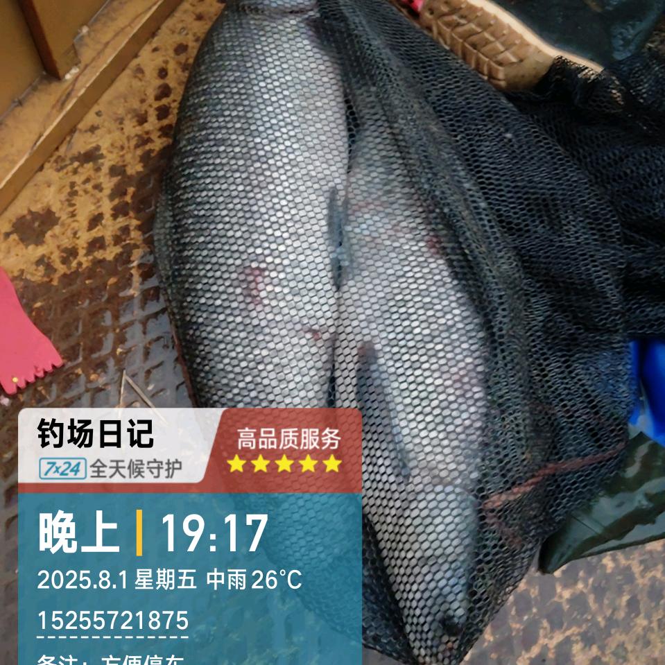 $雨中漫步$