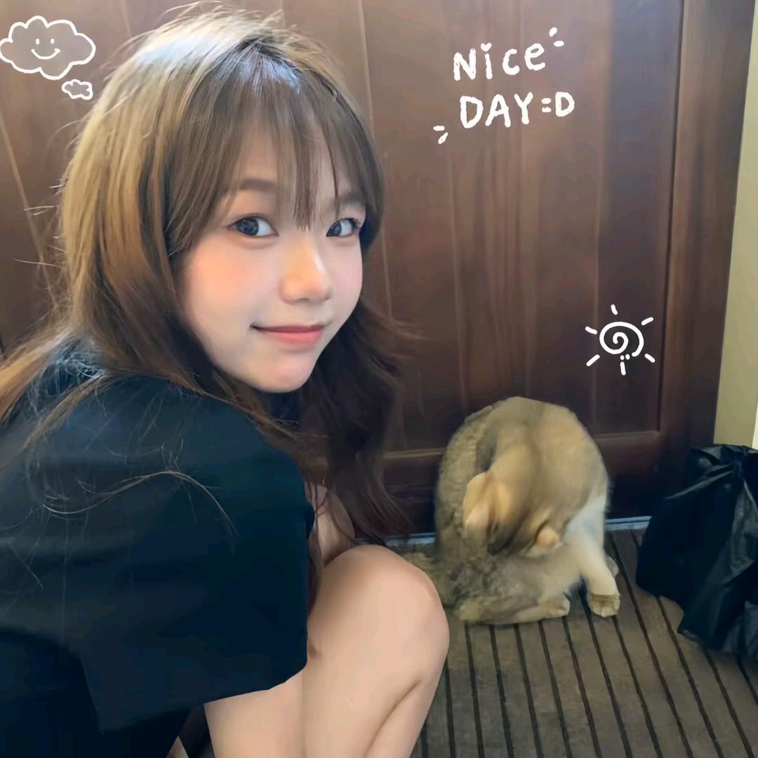 煎饼