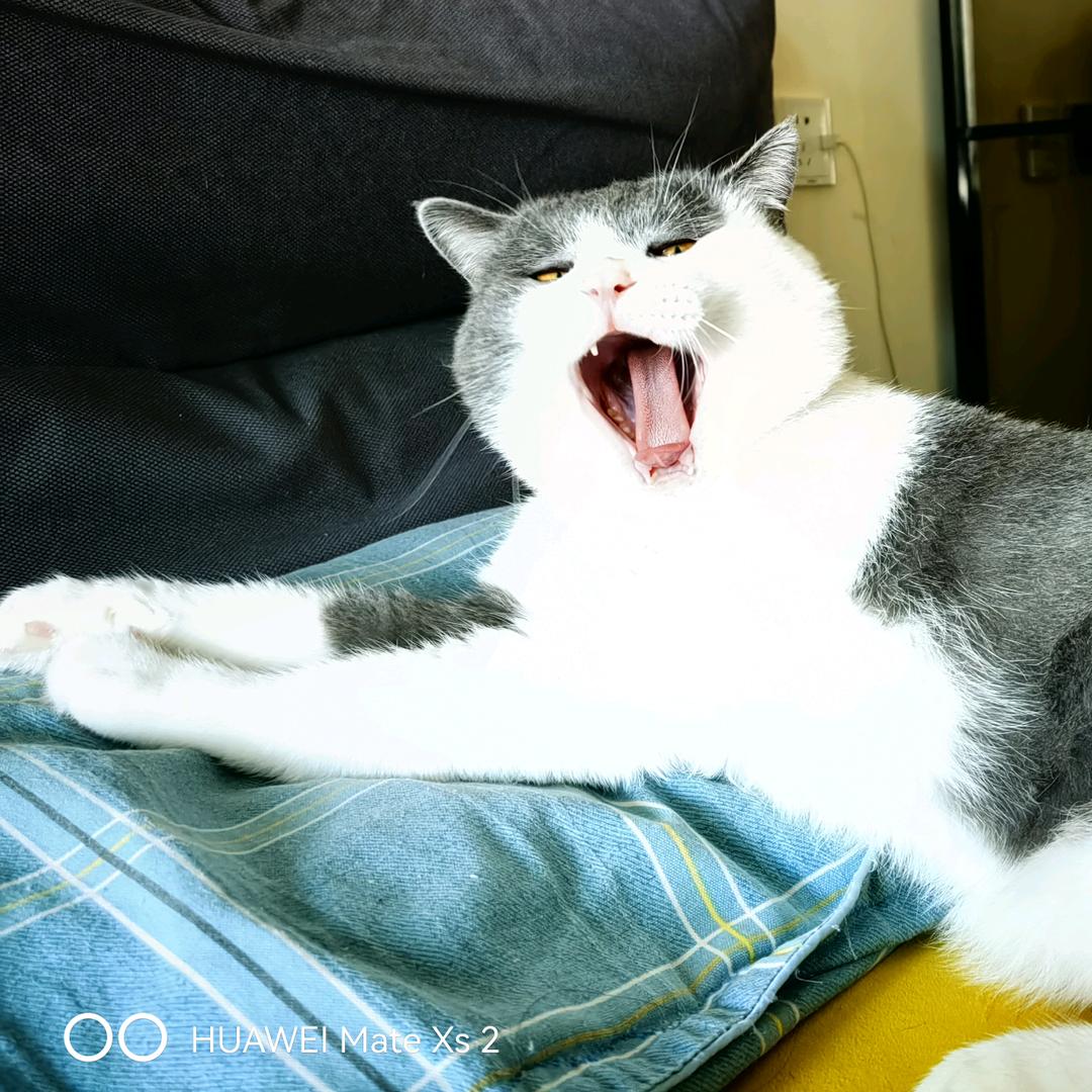 👻 💋 李小小 💋