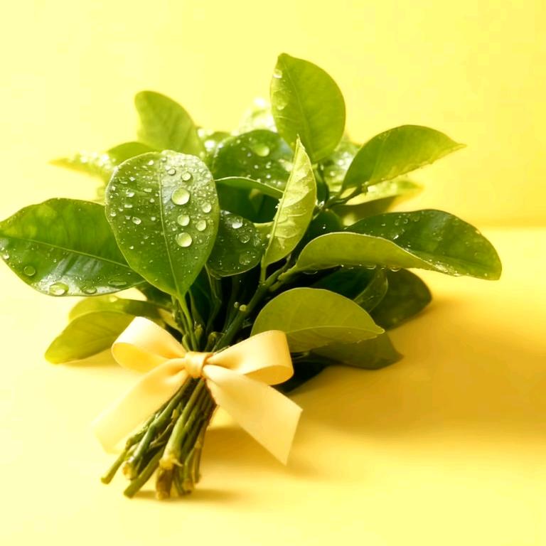 ঞ 初ོ见ོོঞ