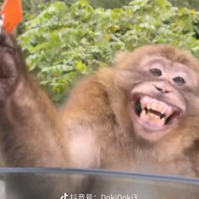 不好，别闹