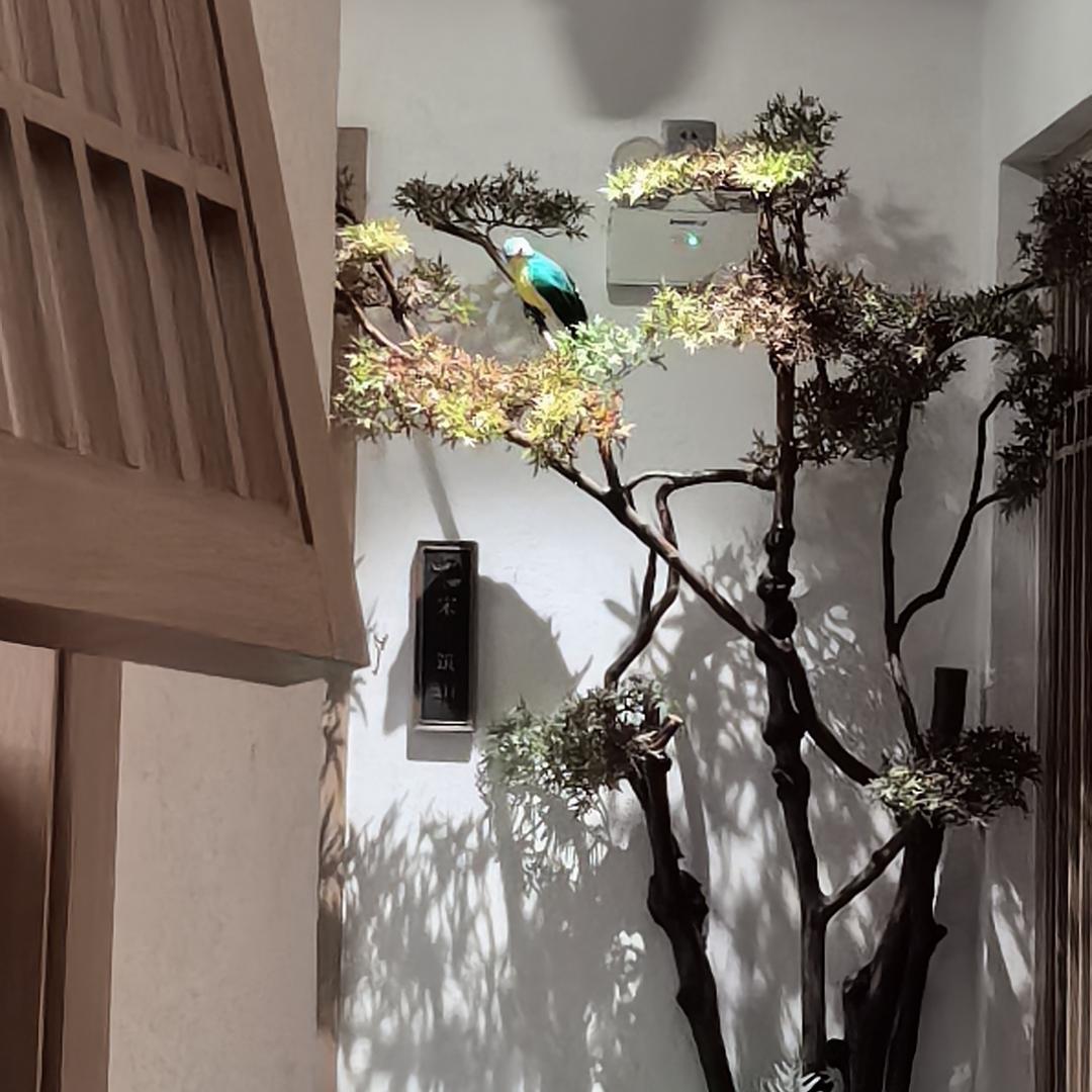 不是很爱（雅雅）