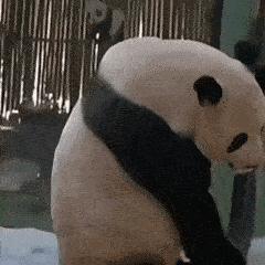 余生皆是你