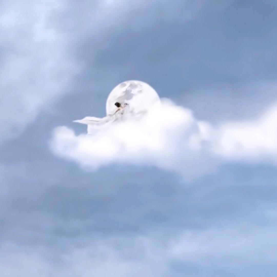 骑着蚂蚁去看海