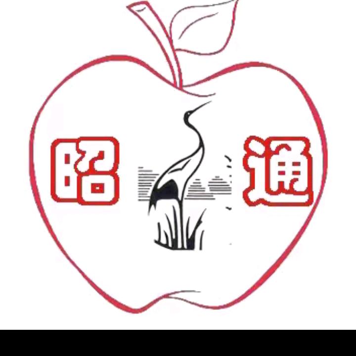 (╭❤～金哥❤～