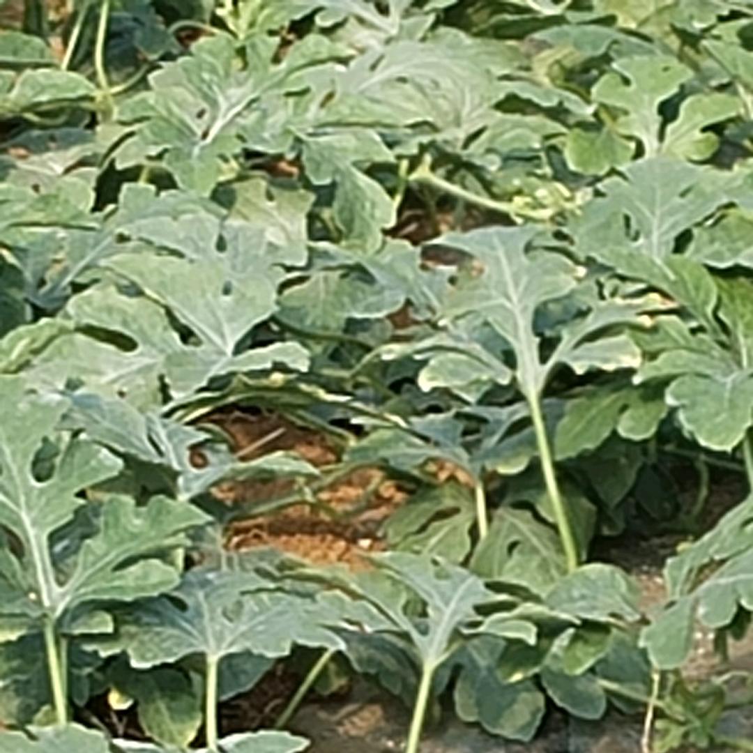 人生另一半💞💞💞