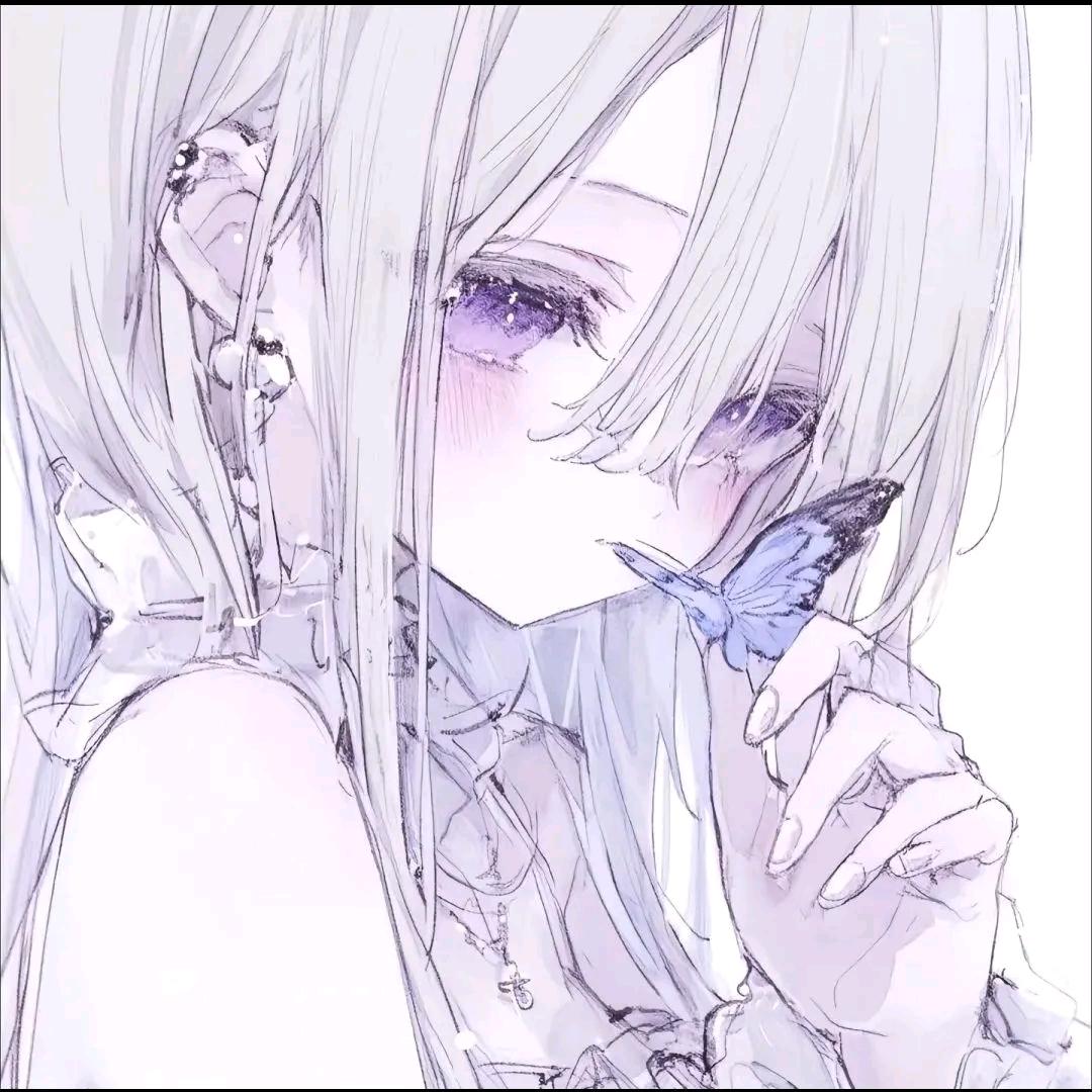 白玫瑰