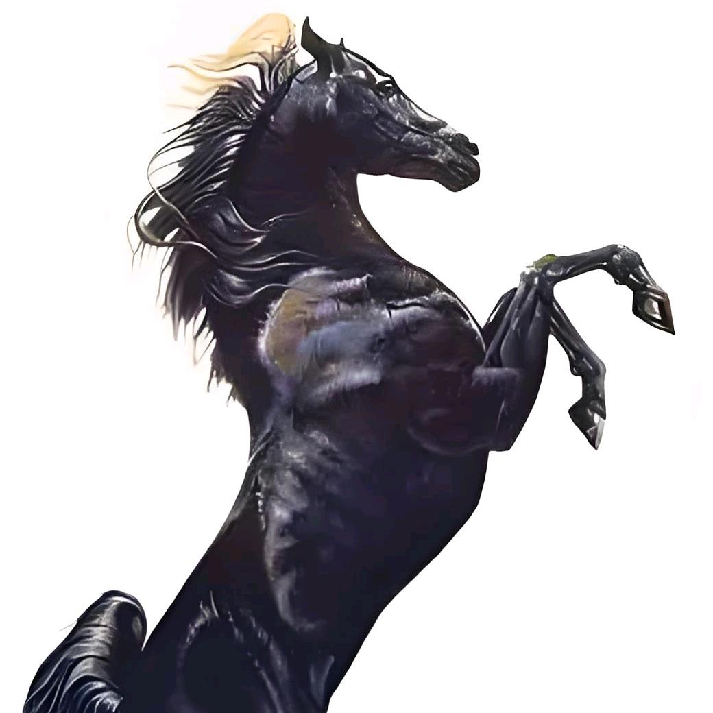 小馬🔥