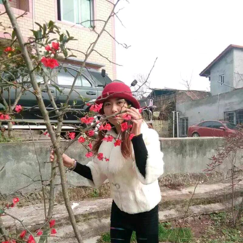 雨后彩虹的梦