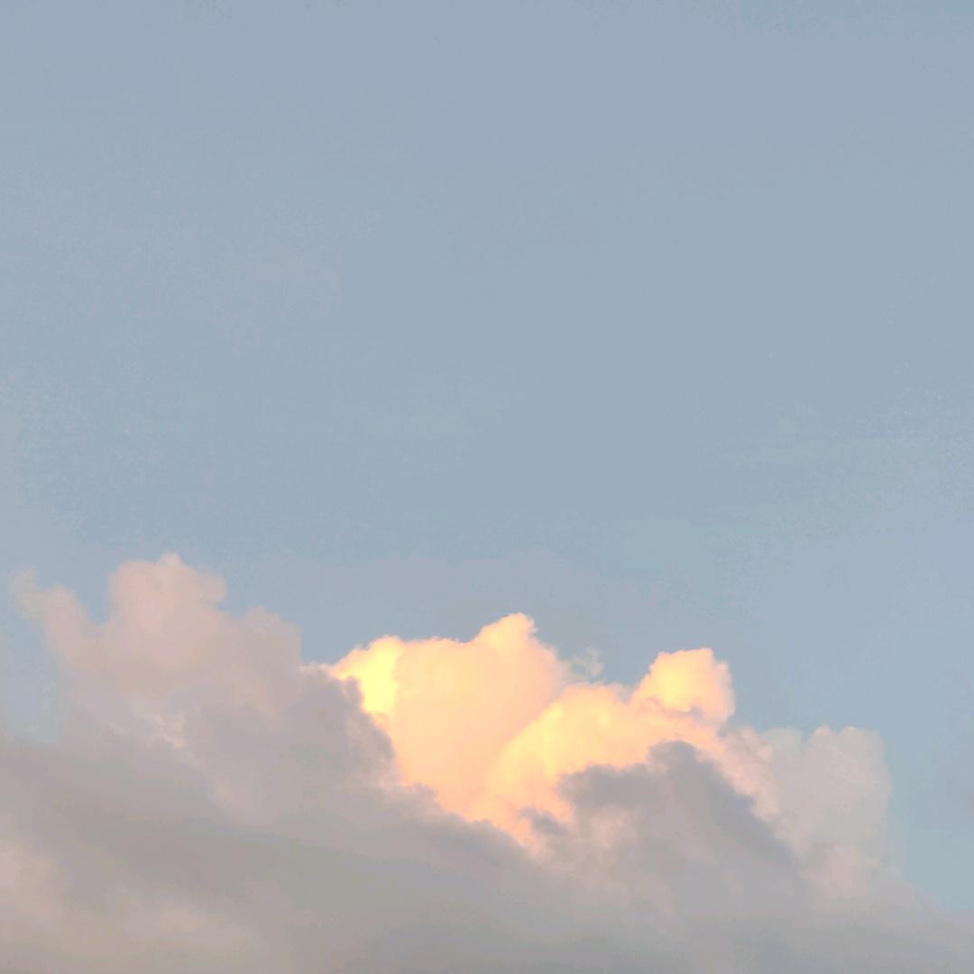 ZM