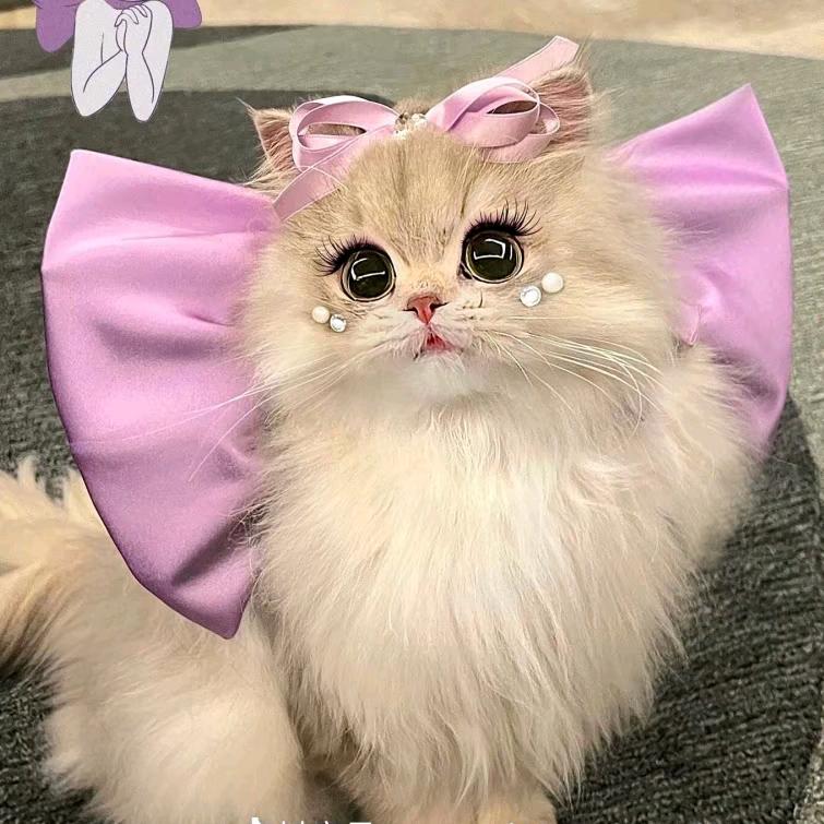 苏苏是个宝💜🍹