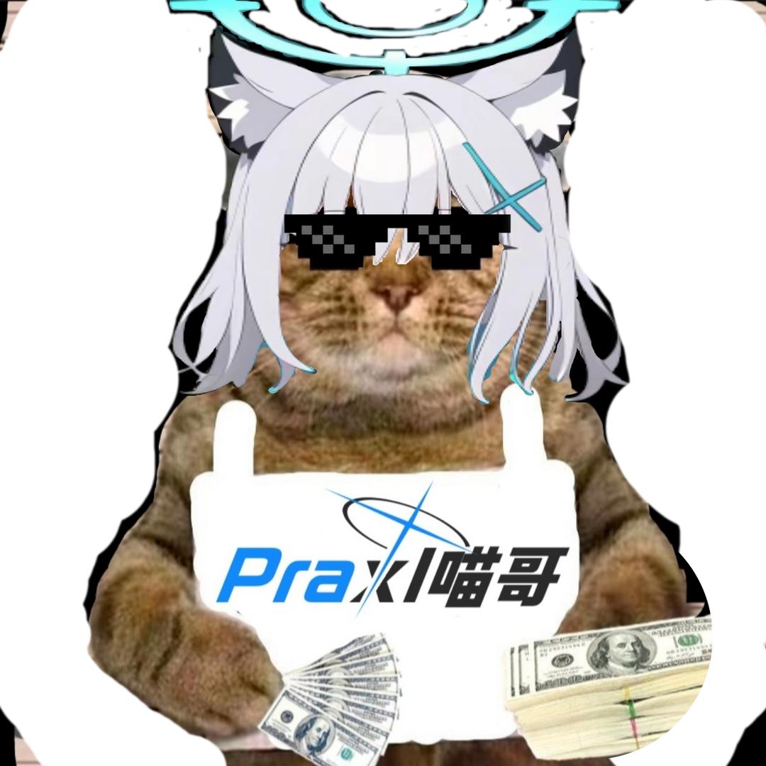 Praxl喵哥