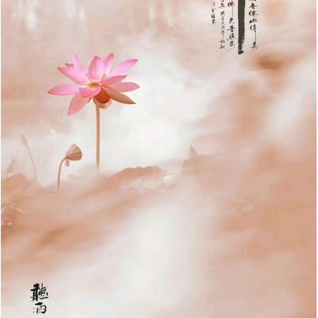 🎍瀅