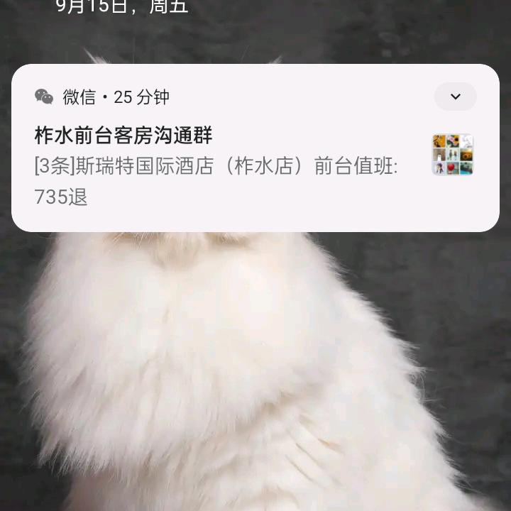 美好的幸福
