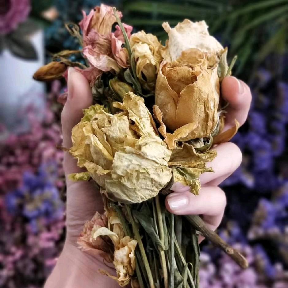 ღ᭄糖炒小板黎 🕊꧔ꦿ᭄