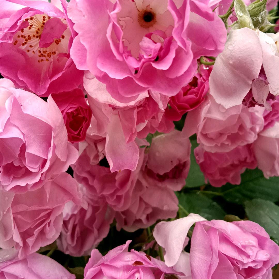 一生有你，，，