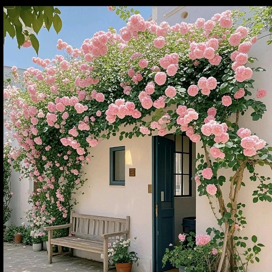 lei