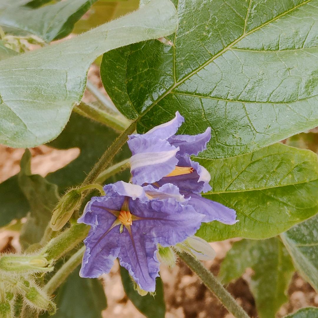 宁静中的那个我