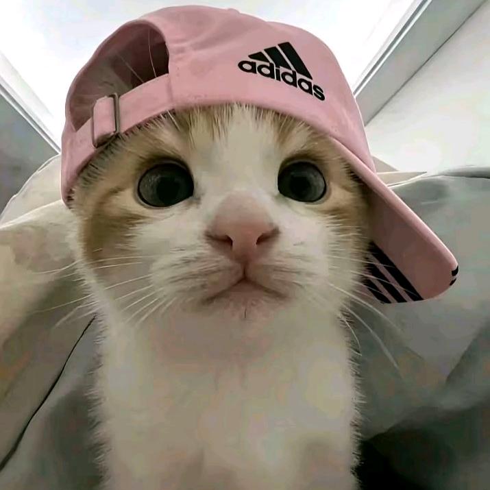 天晴头像