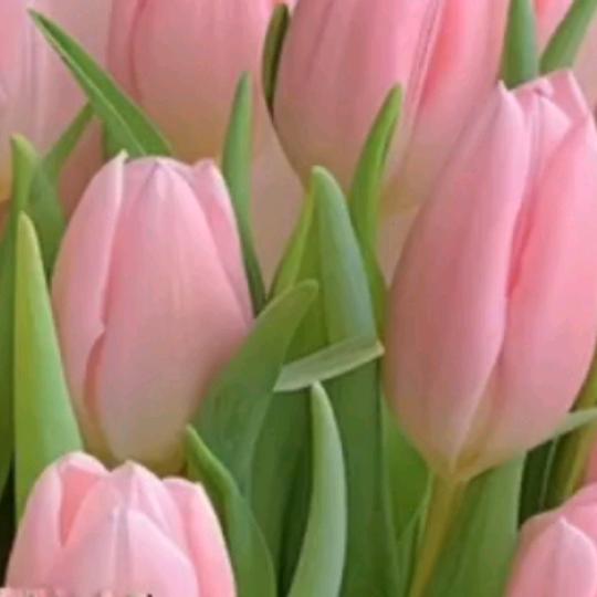 傻瓜拒绝私聊合拍。》