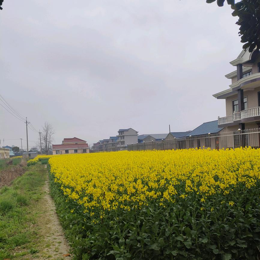 远方有你