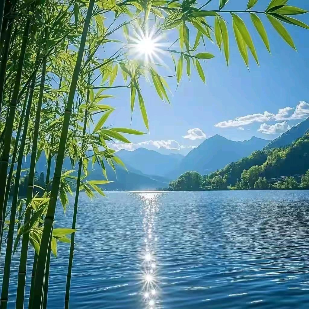 我心随风